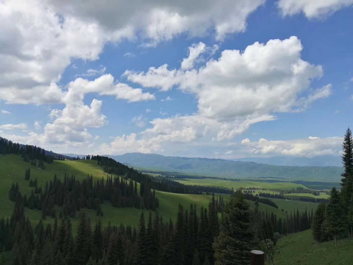 散文|李娟：富裕的肥皂