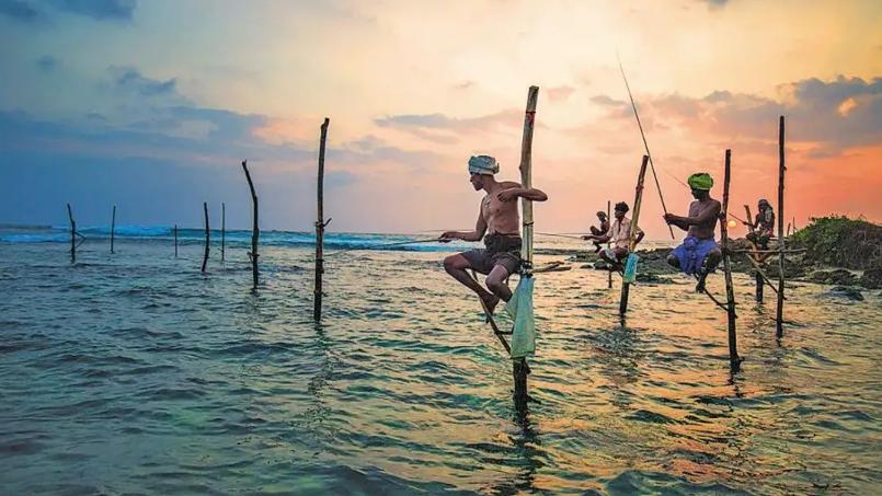 斯里兰卡国家为什么会破产,斯里兰卡宣布破产哪一年