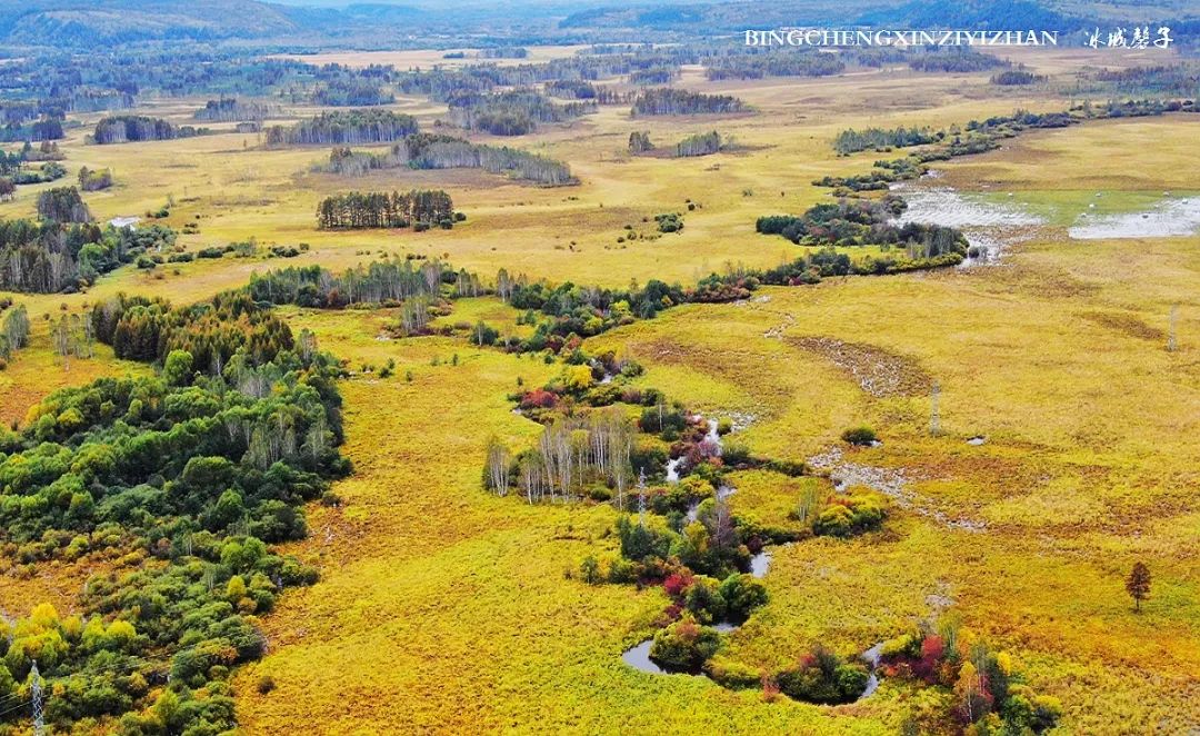 秋天大兴安岭最美的地方,秋天美丽的大兴安岭
