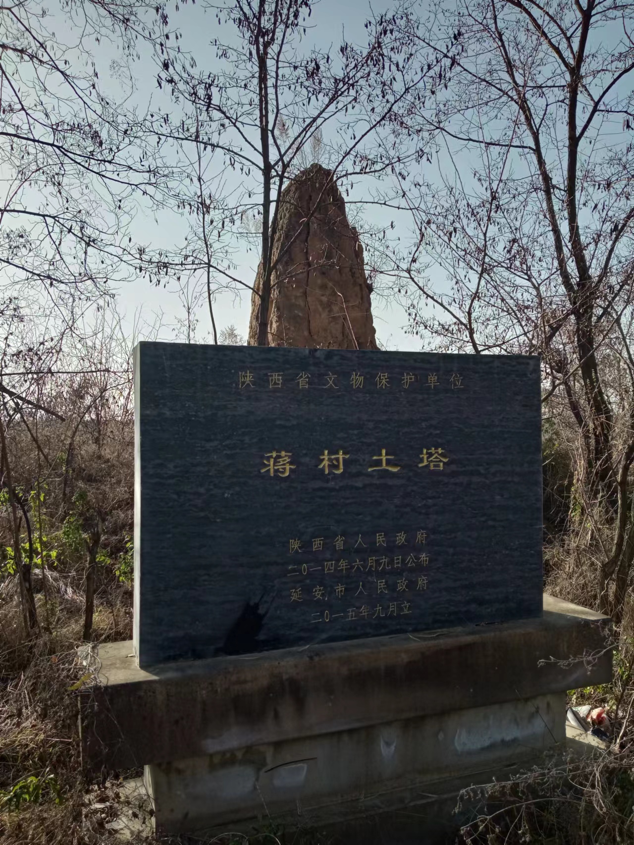 古树、土塔、苍柏、沟壑……