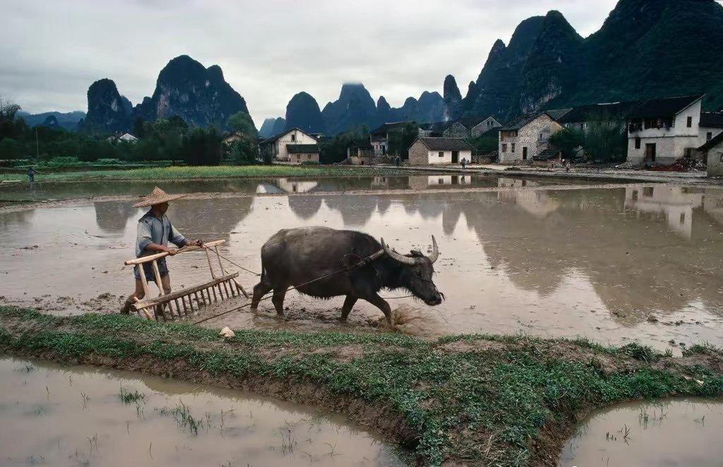 30张罕见晚清照:女子躺炕上欲仙欲死,骑跨在男子头上的洋人女子