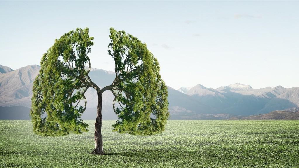 肺纹理增多可能是什么病,肺纹理增多主要是哪种病引起的