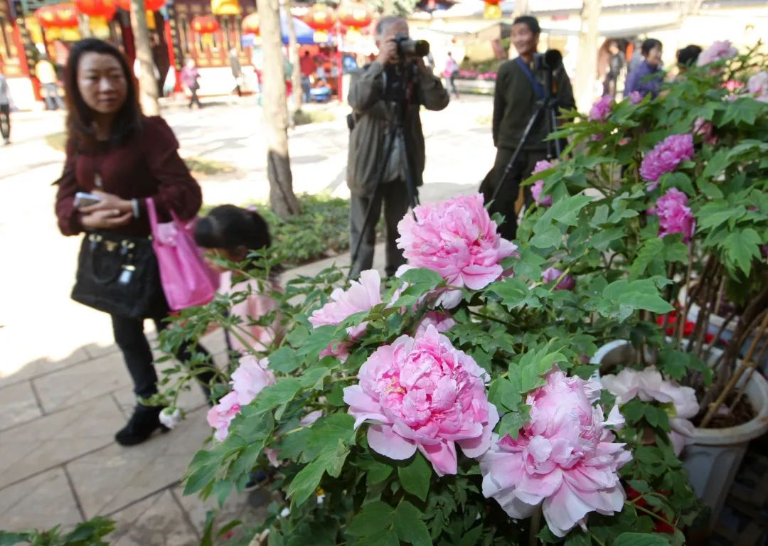 进入夏航季，即将迎来出境游高峰期！境内游昆明的行程已经开始给你安排了