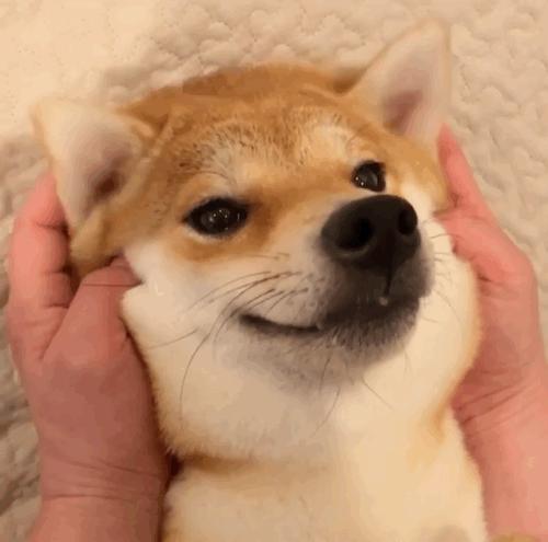 中国人下南洋如何白手起家,白手起家的人特征