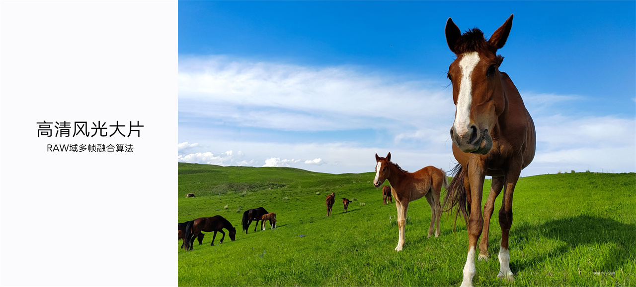 荣耀70有多惊艳,荣耀70详细各类参数