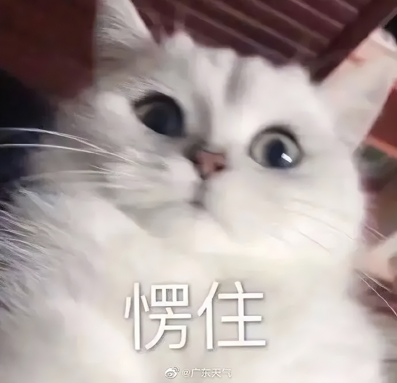 冷冷冷广西将迎来两股冷空气,最新冷空气什么时候到达湛江