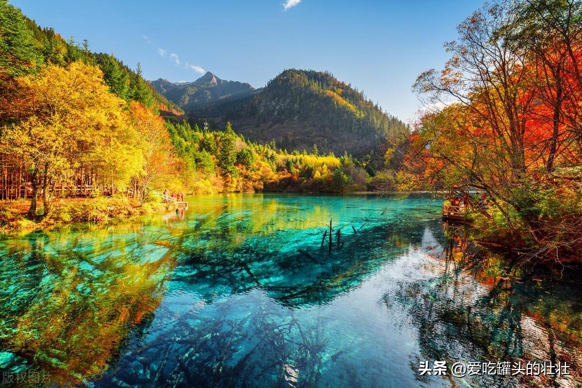 你被好友狠心删了？看看腾讯为什么不提醒你。