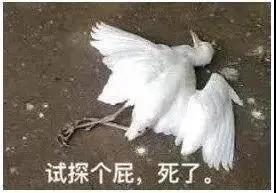 黑芝麻丸还要骗我们多久,黑芝麻丸子的功效与作用