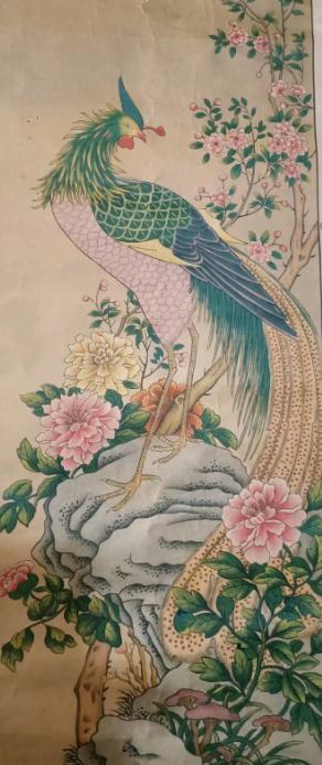 丹凤眼是什么动物的眼睛,丹凤眼是怎么样的图片