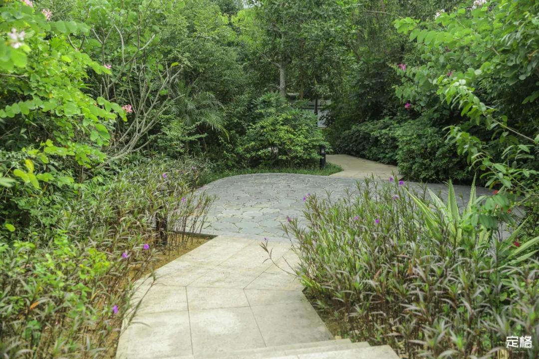 深圳百米长「纯白登山梯」，打卡绝了