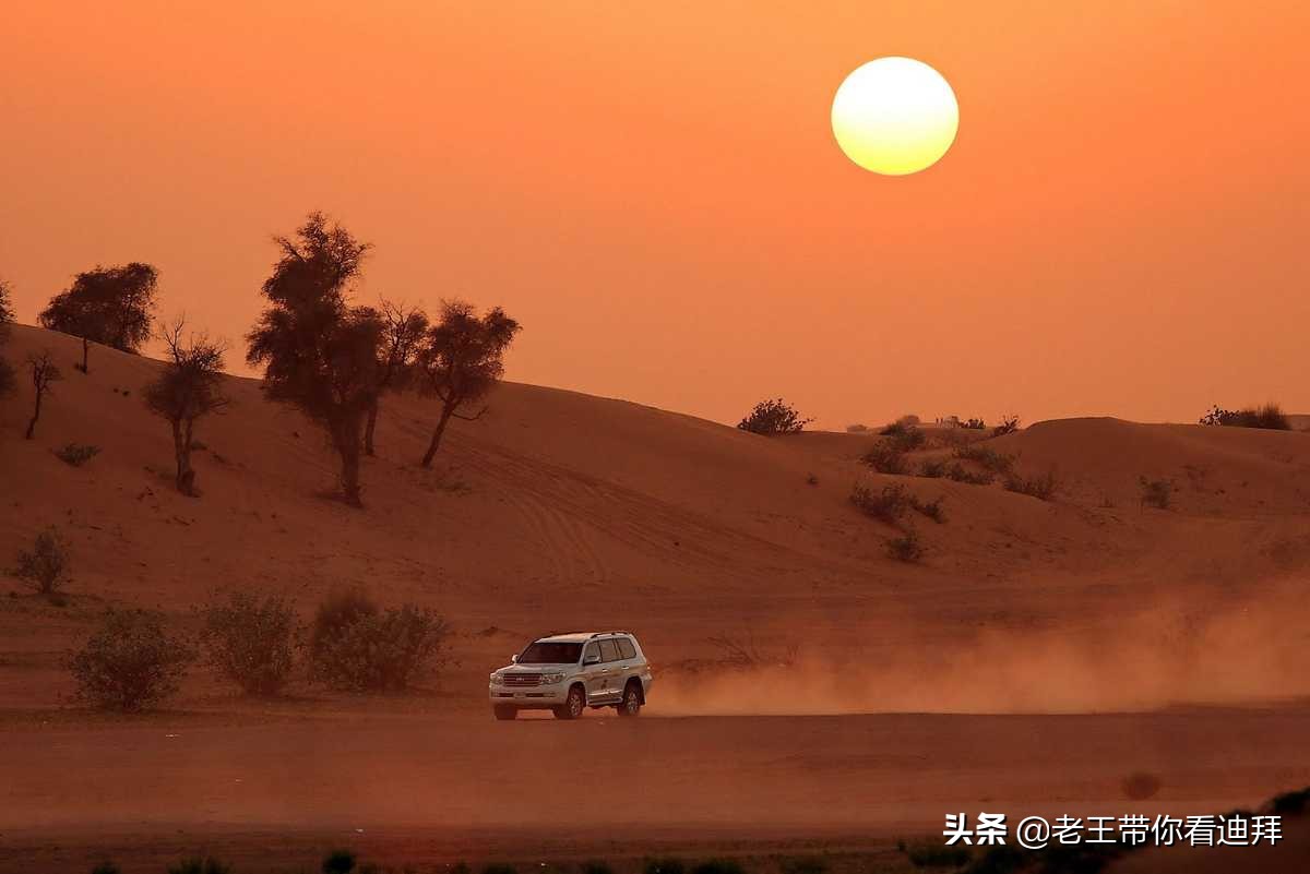 迪拜冬天晚上好玩吗,迪拜哪里漂移最好玩