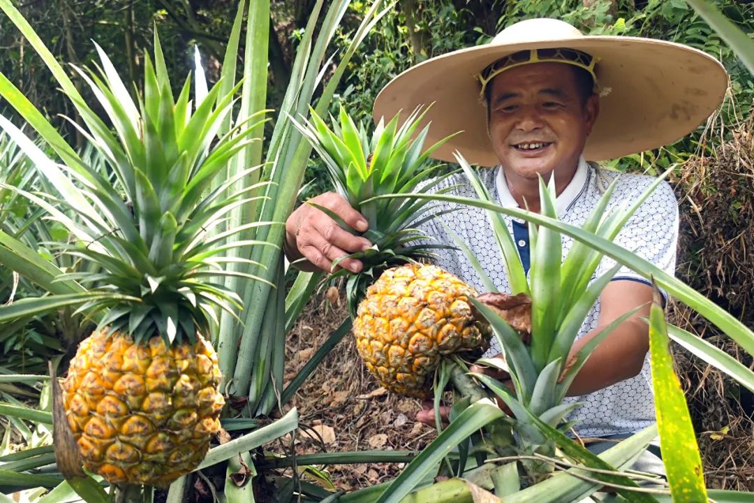 百千万工程助力乡村振兴惠州,百千万工程助力乡村振兴中山