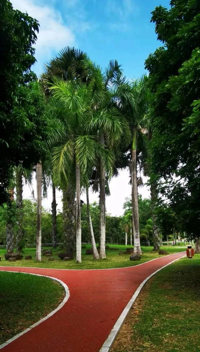 云南旅游这几个景点都是坑,没必要去,快来看,替你节省时间金钱