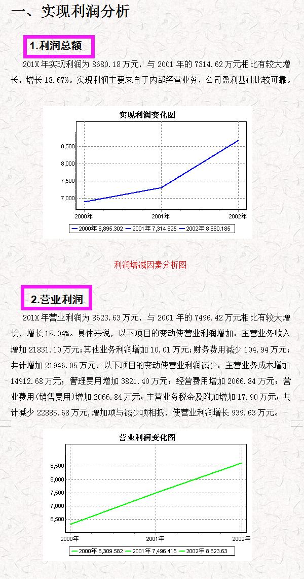 财务报表分析2019年模板,财务年度报表分析报告