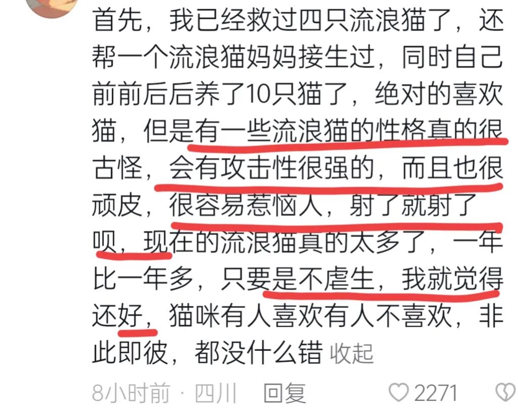 深圳弓箭射流浪猫警方介入,深圳男子用弓弩射杀流浪猫后续