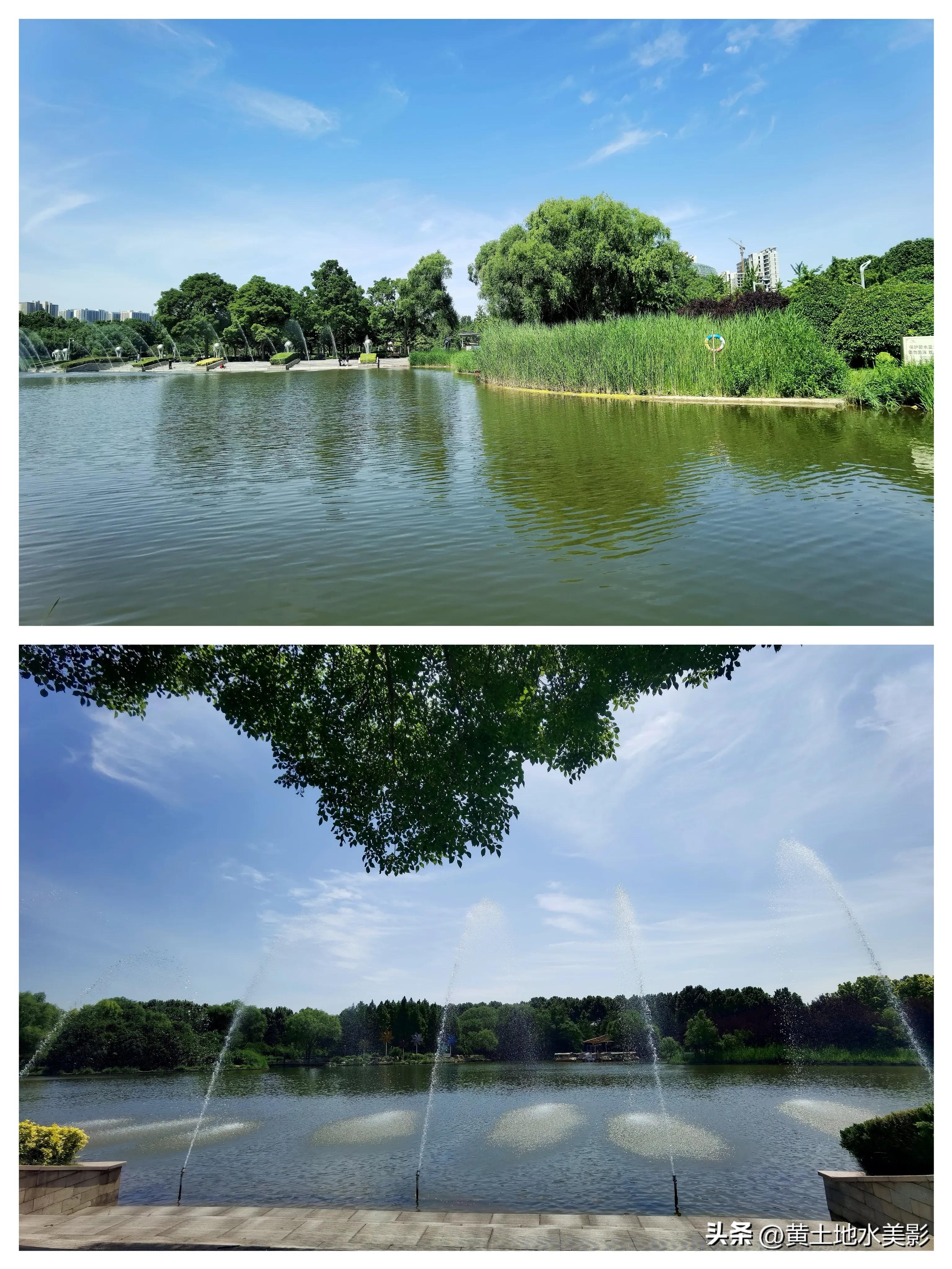 河南植物公园景点介绍视频,河南森林公园有哪些