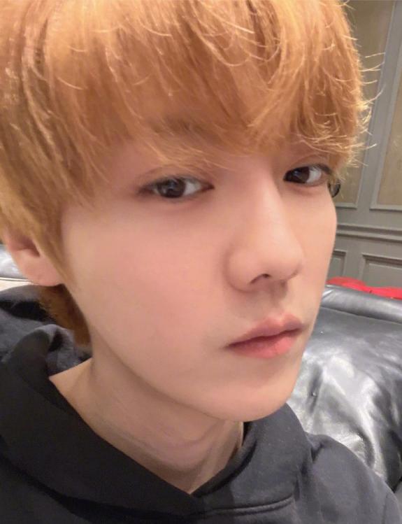 鹿晗出道十周年视频,鹿晗十周年专辑有什么歌