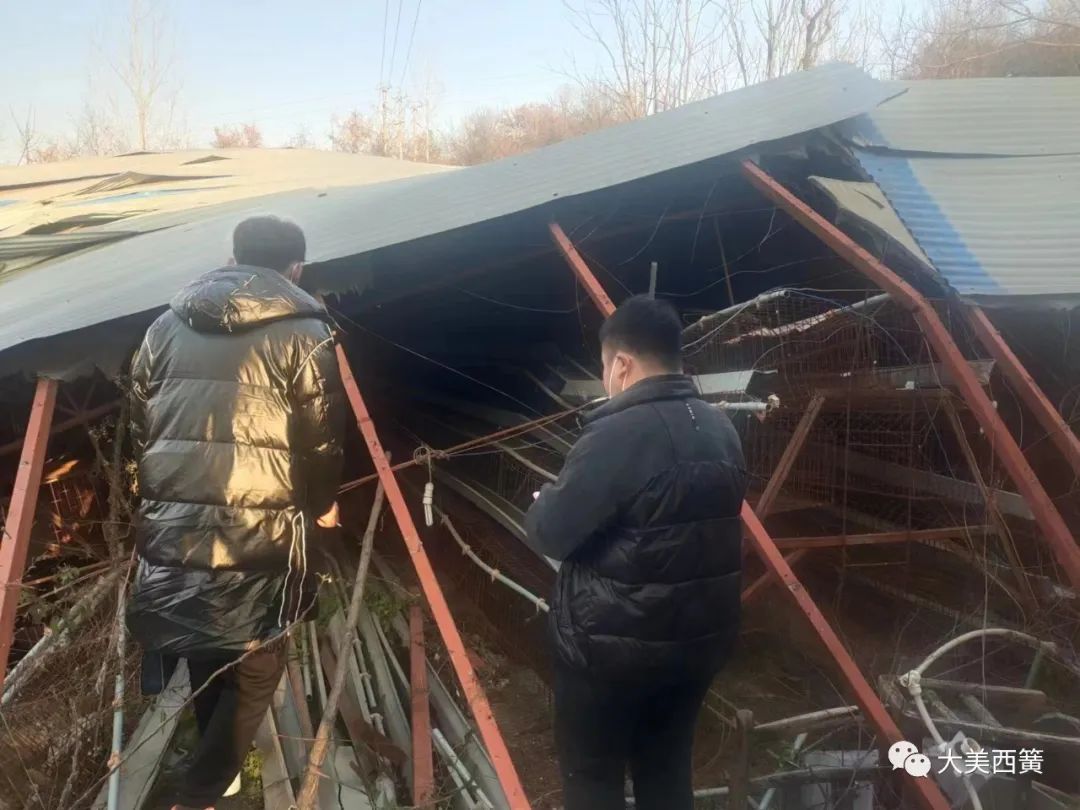 鹊山鸡,鹊山鸡粤语视频