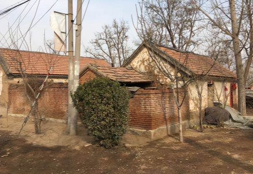 闺蜜花20万试管生混血宝宝视频,30岁女模特试管生下混血三胞胎