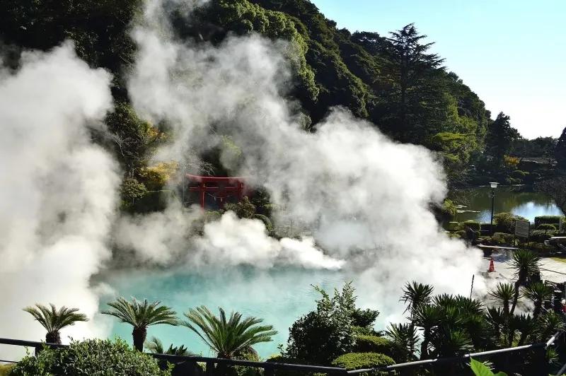 趣研学夏令营,趣研学内容