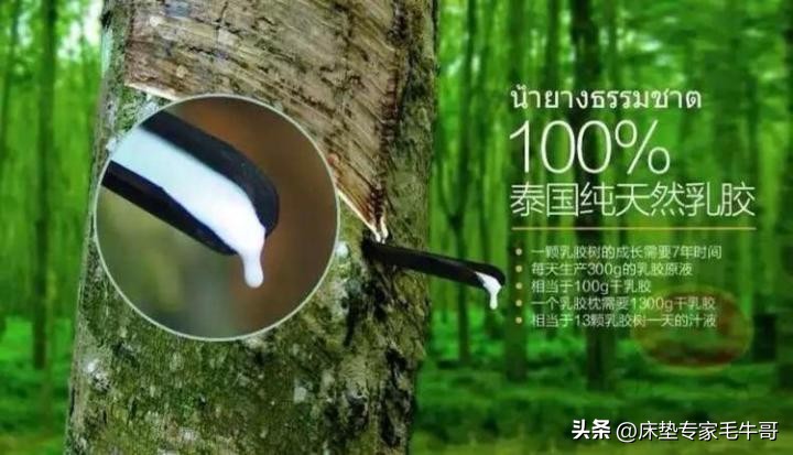 乳胶床垫防压防塌,乳胶床垫的陷阱