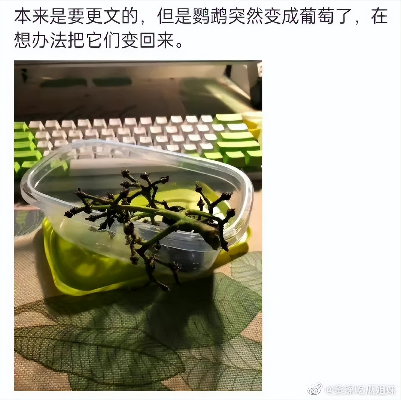 “网文作者自曝丁丁炸了？”哈哈哈这借口也太离谱了