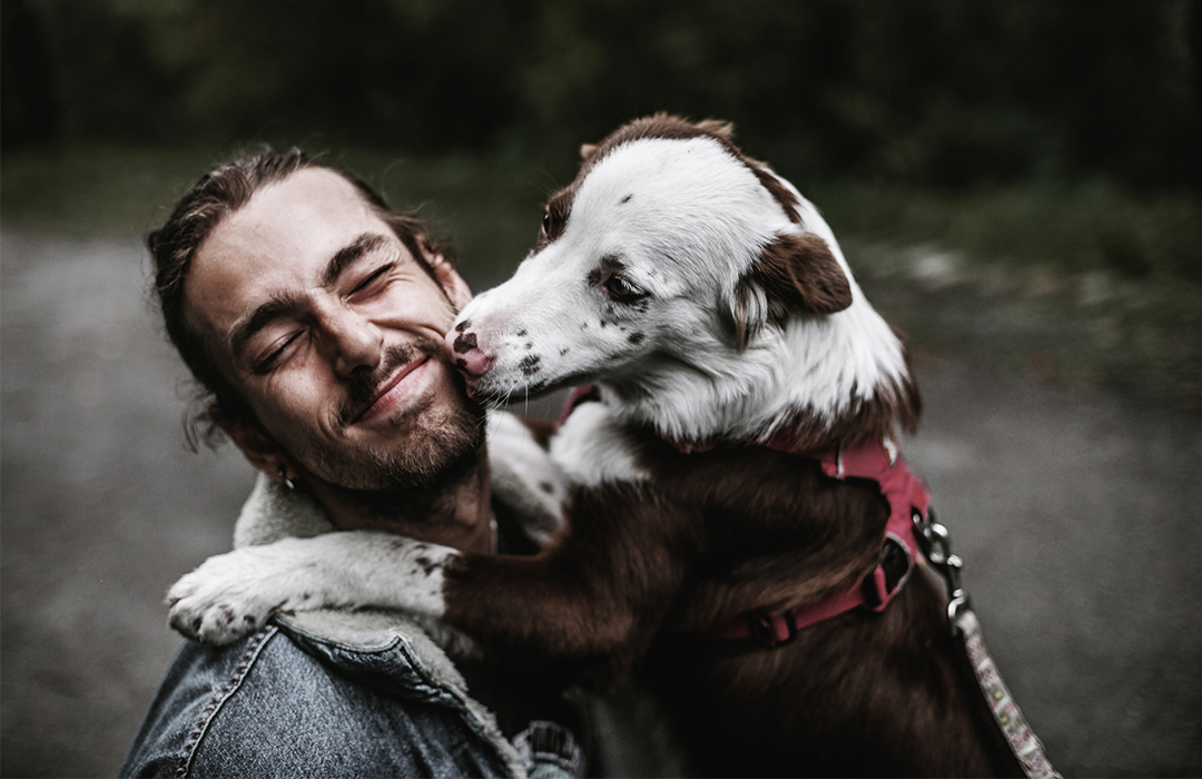 狗狗新手攻略笔记,狗狗饲养指南txt