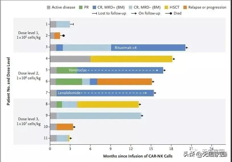 12年化疗失败，干细胞移植复发，CAR-NK疗法让癌症患者完全缓解
