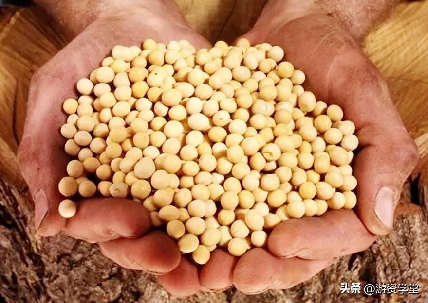 巴西大豆出口贸易现状及对策,巴西大豆对华出口