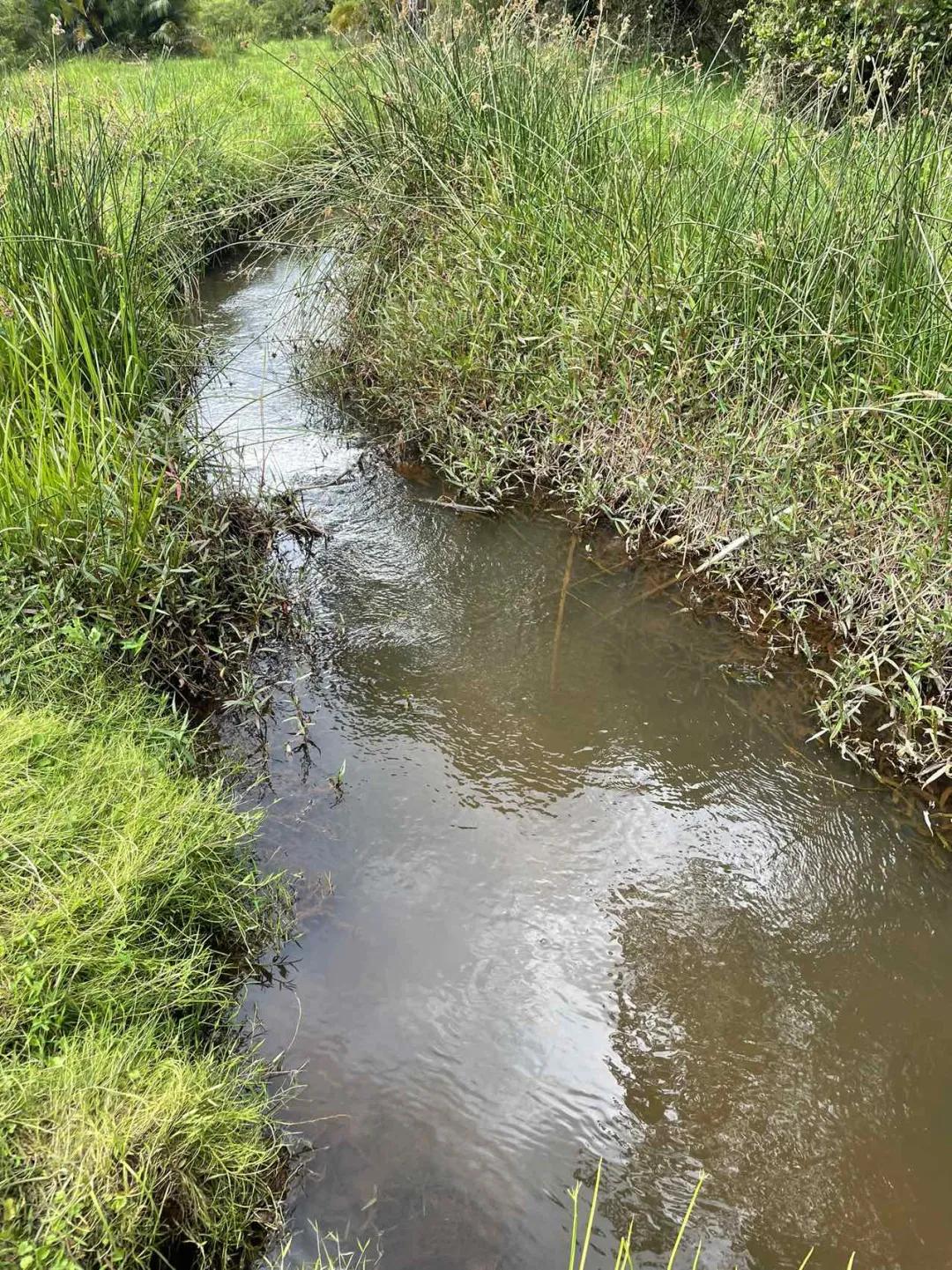 老汤创业,老汤生活记录