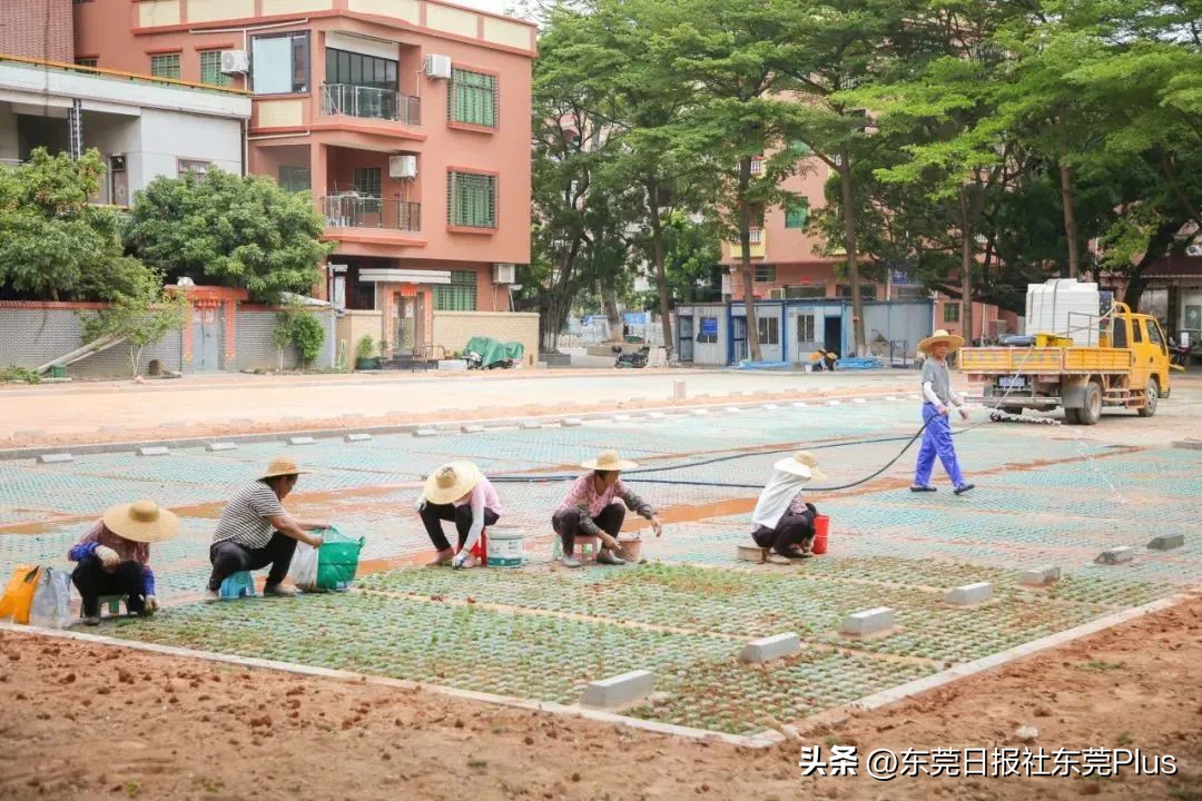 麻涌公园里最新消息,东莞麻涌公园