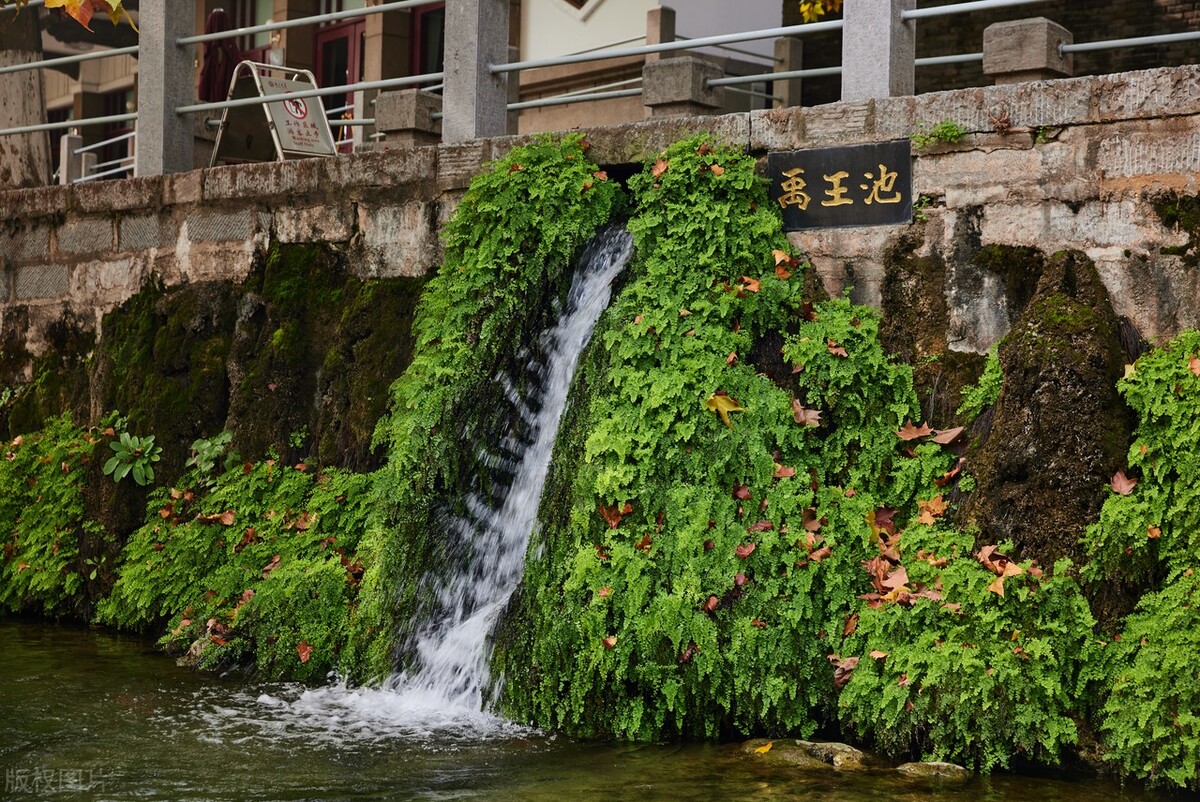 郭进拴神奇的土地,郭进拴作品大全