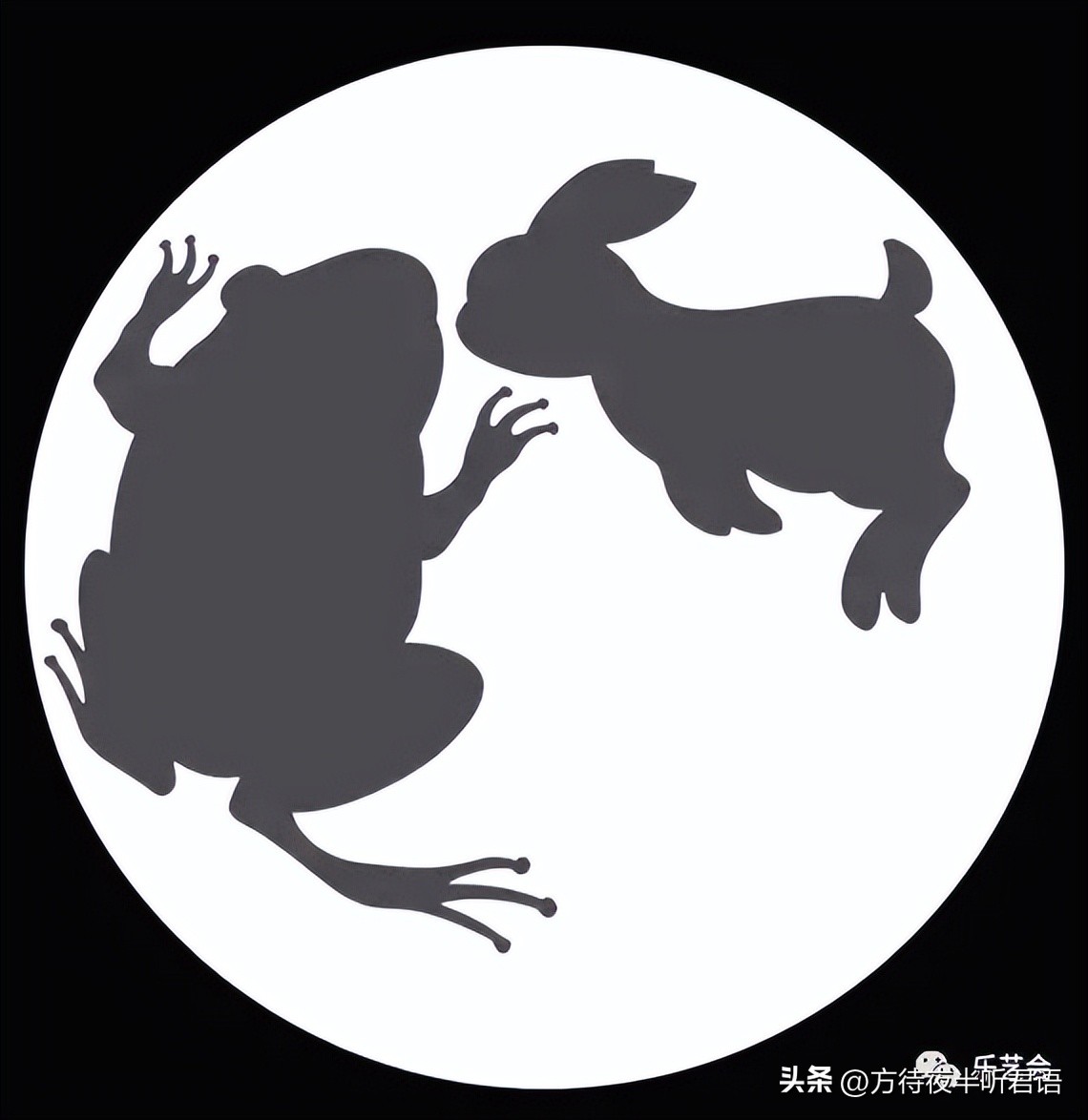 兔年说兔音频,兔年说兔的吉祥话