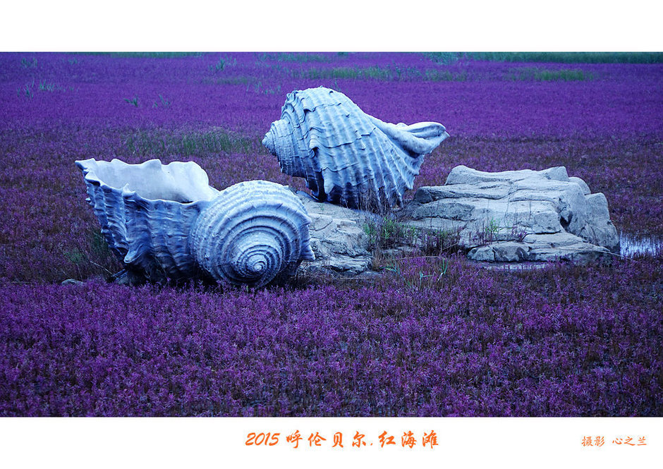 辽宁盘锦红海滩免费旅游攻略,内蒙古足迹旅行