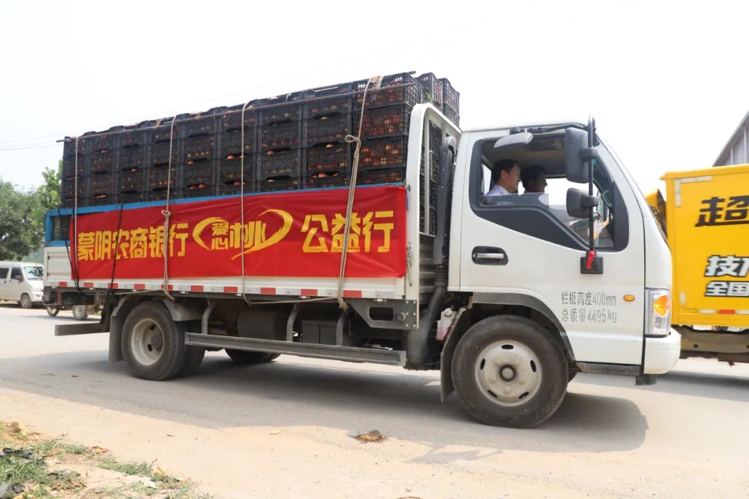 好品山东乡村名品,好品山东蒙阴蜜桃