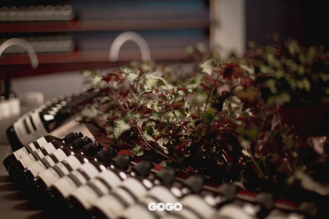 aesop浼婄储logo,aesop浼婄储鏁堟灉