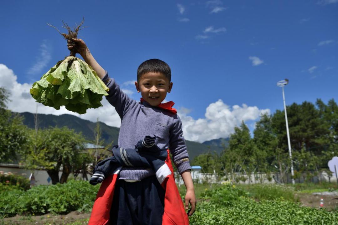 跨越千里读经典,跨越4500米海拔的语文课