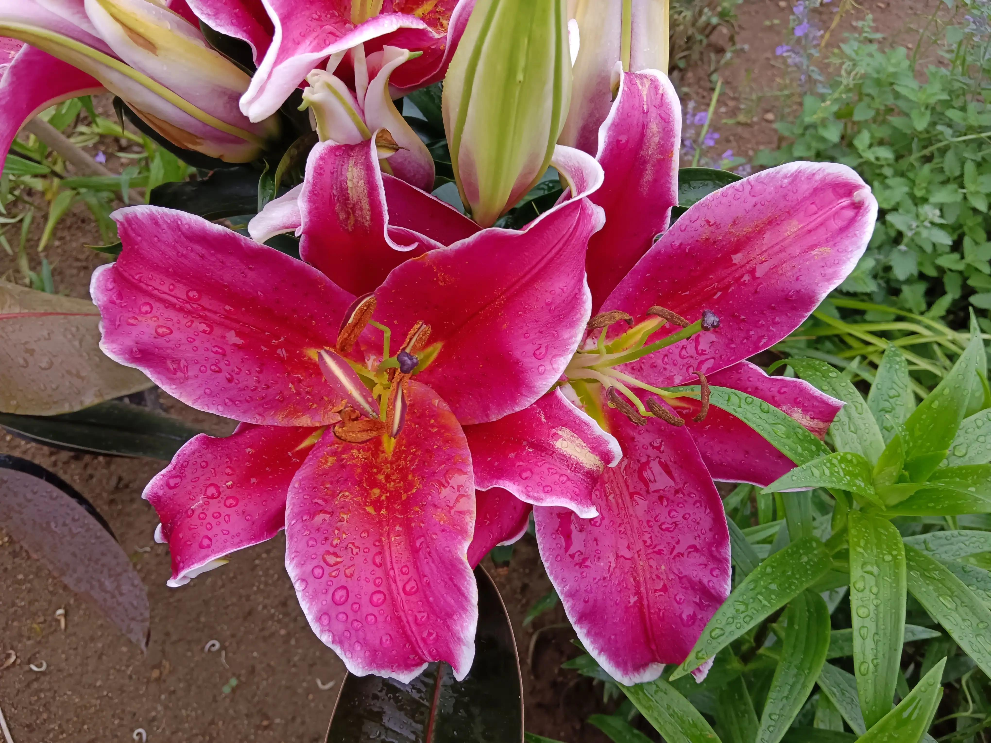 山字飞花令记忆宝典,山字飞花令全集