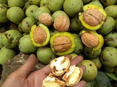 菠菜凉拌核桃,核桃菠菜