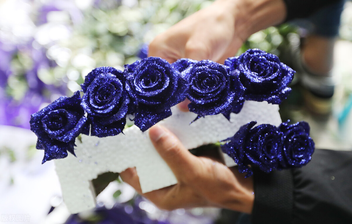 分享美图蓝色妖姬,蓝色妖姬玫瑰花美图