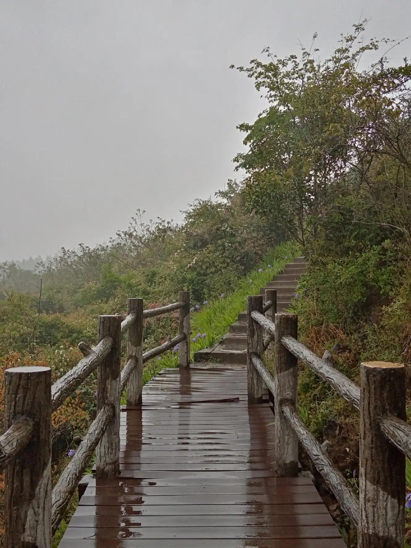 哦亲爱的国语版,哦亲爱的国语