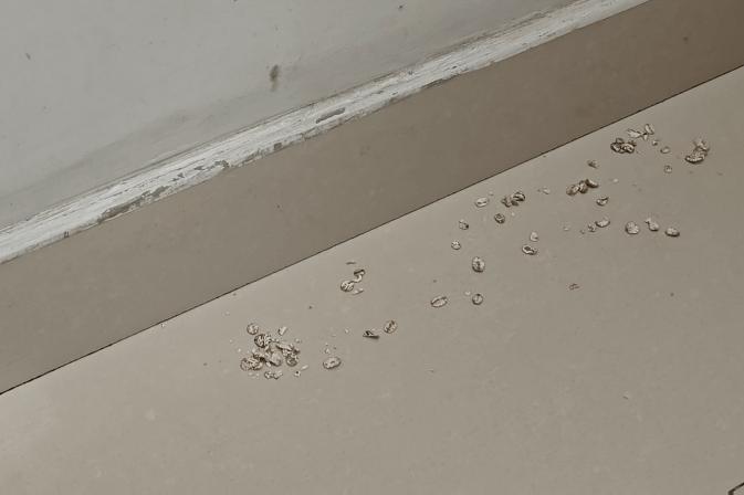 石头洗地机a10ultra和a10plus区别,石头a10ultra自清洁测评