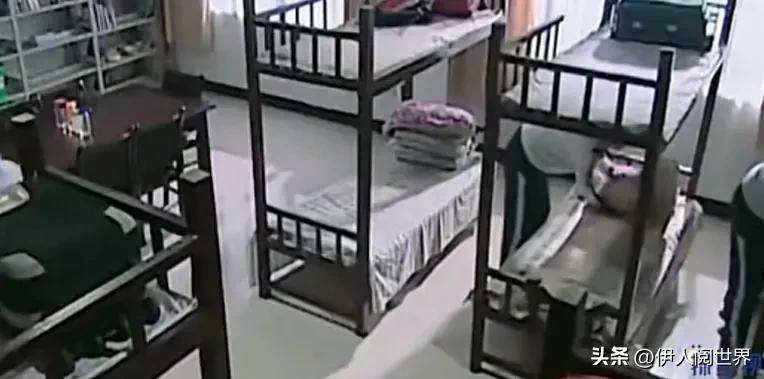 98年静海一中七仙女案幸存者现状,静海一中七仙女案件始末