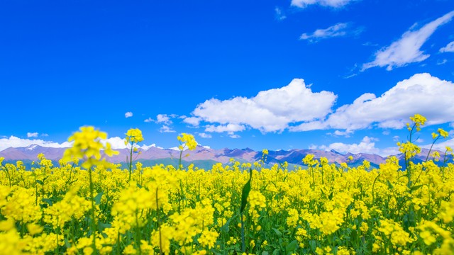 做自己忠实的朋友,自己做自己的好朋友