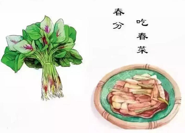 二十四节气春分食谱,二十四节气春分谚语