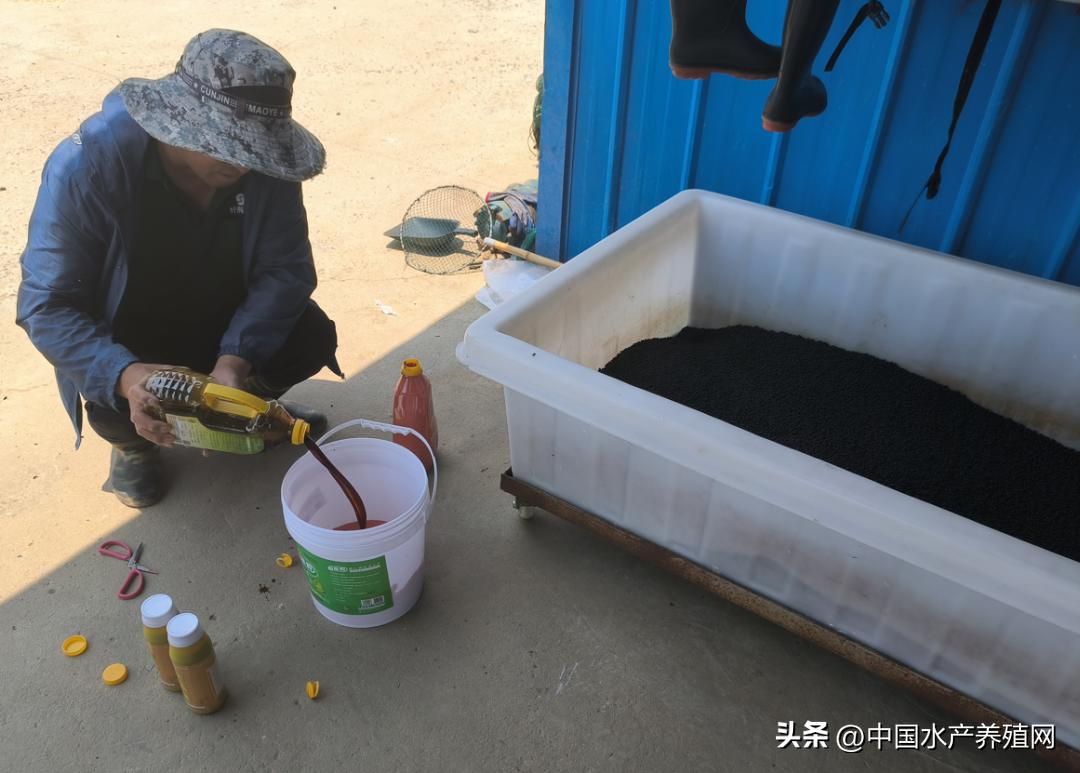 高温死蟹,防止青蟹死亡