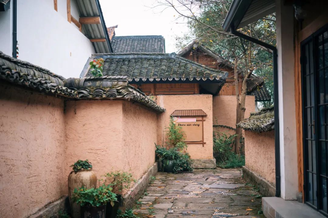 春天的潺潺溪水,春天的顶流