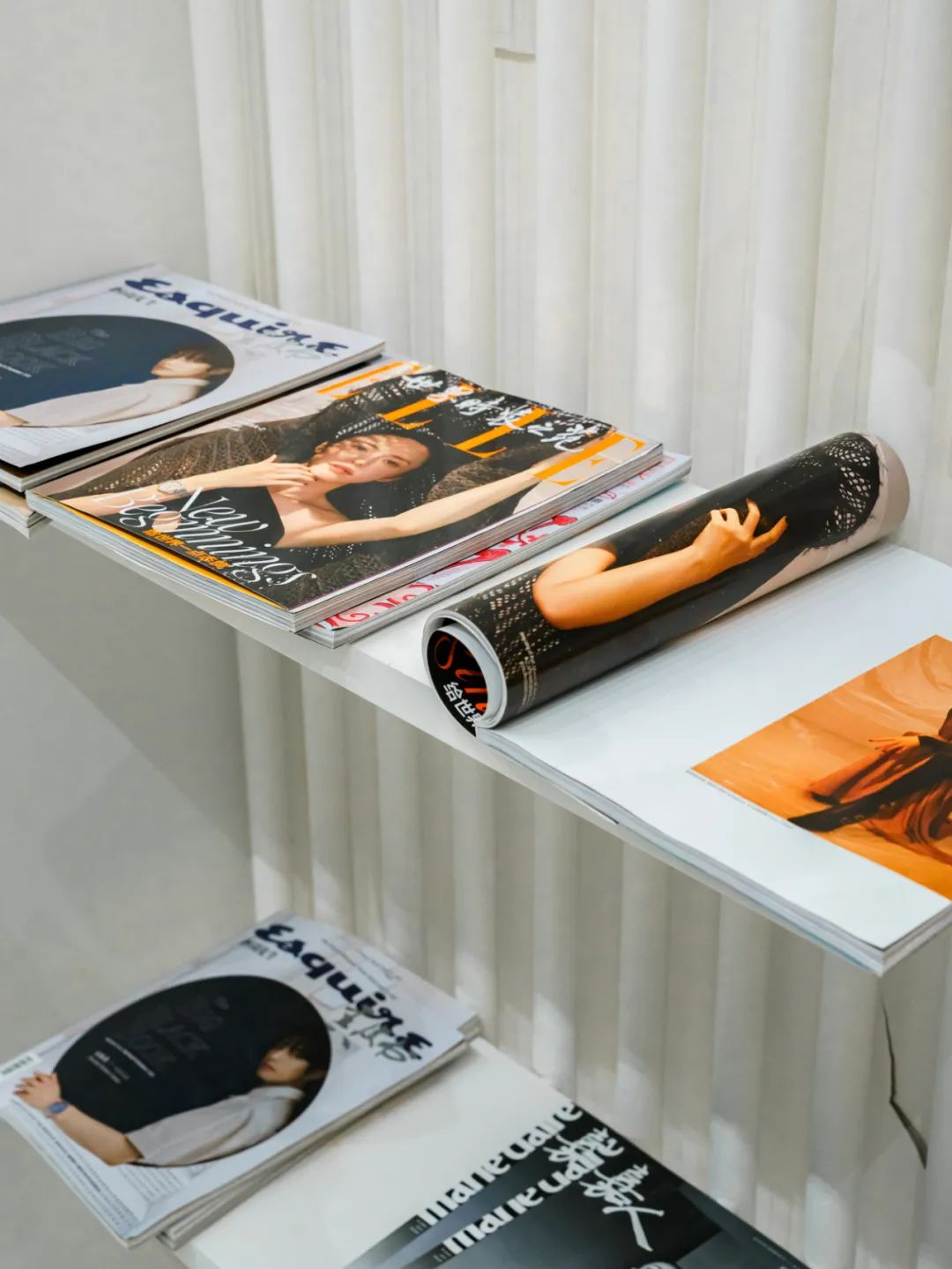 魔都自然博物馆,魔都的博物馆真的很有看头