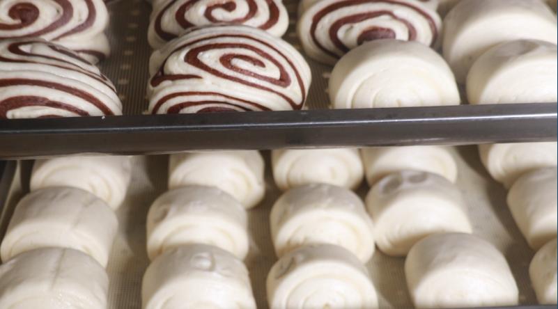 南阳外国语学校报名,欢迎报考外国语实验学校