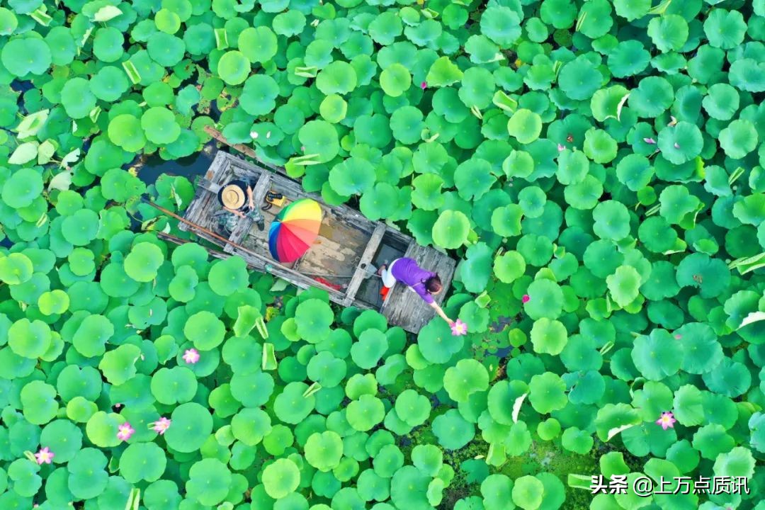 济宁微山湖旅游景区攻略一日游,济宁微山湖旅游区排名